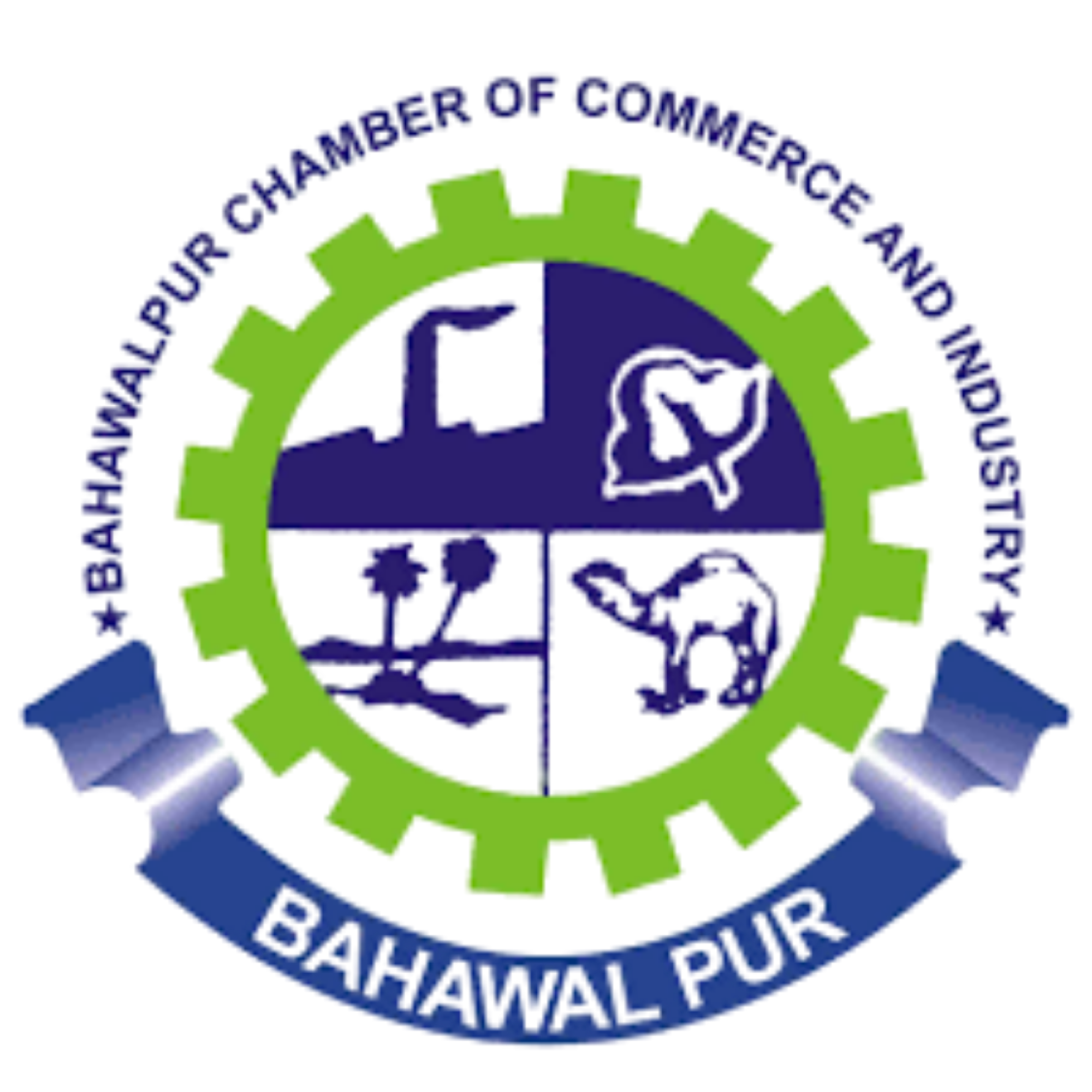 BCCI Member