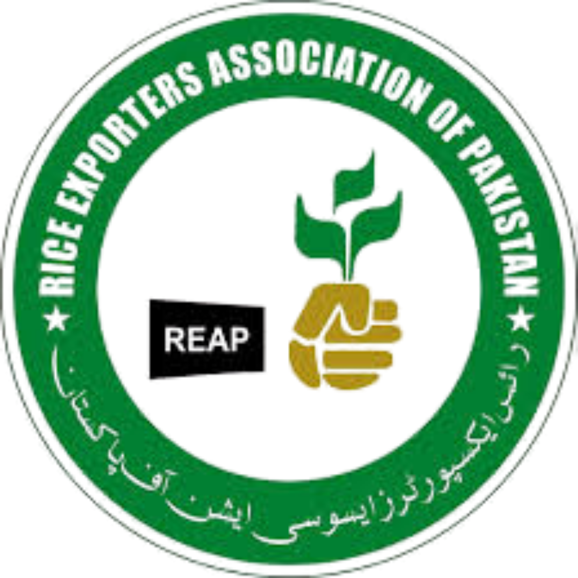 REAP Member