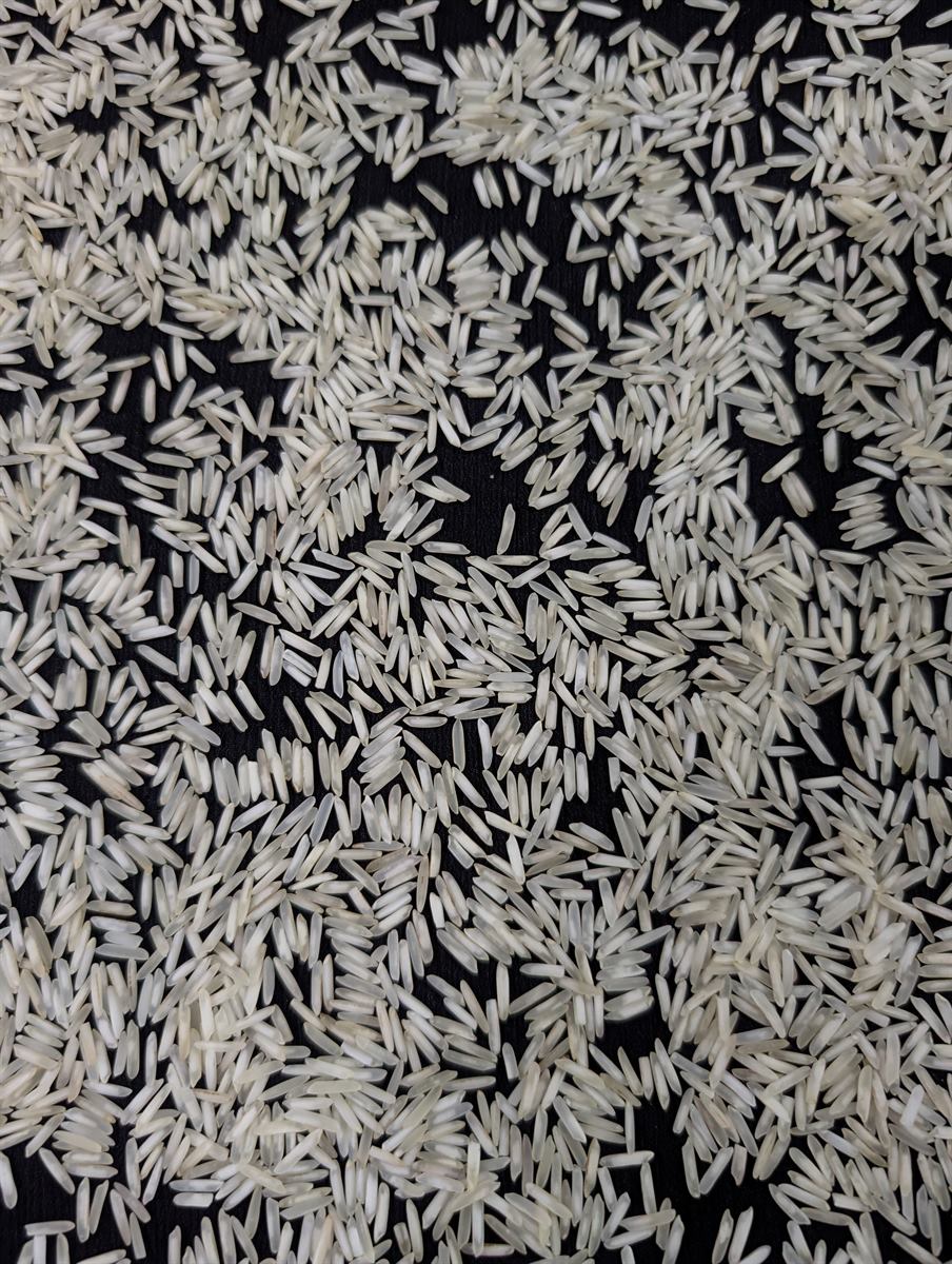 Basmati Rice Steam Rice Premium / Complete Length product sample.